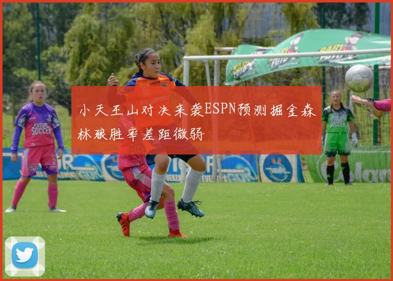 小天王山对决来袭ESPN预测掘金森林狼胜率差距微弱